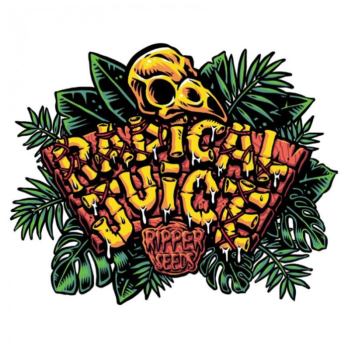 Radical Juice Fem