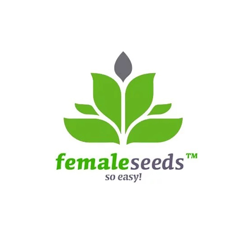 SexBud Fem