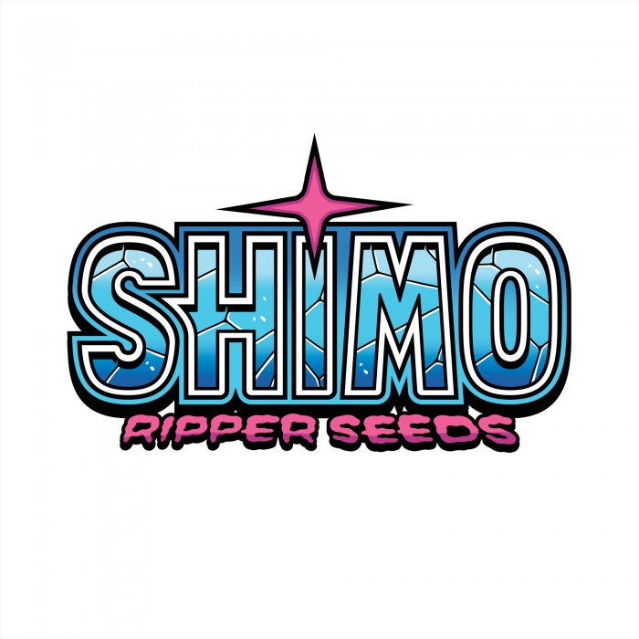 Shimo Fem