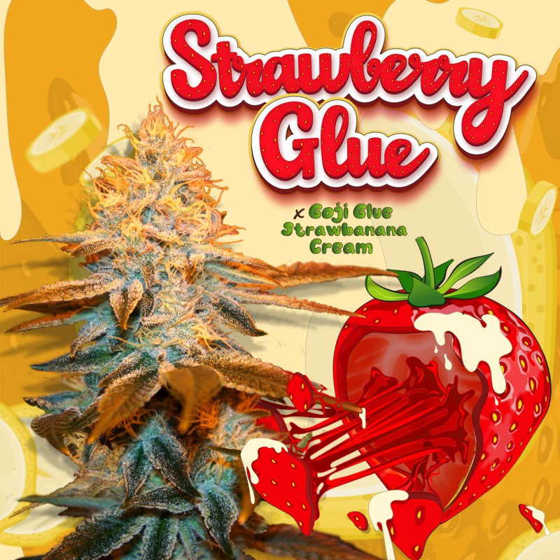 Strawberry Glue Fem