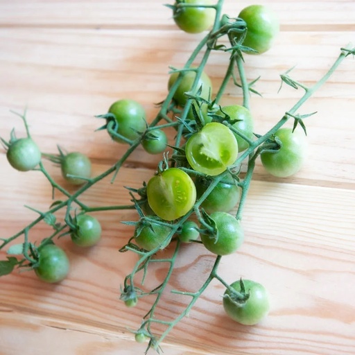 [P6387] Tomate-Cerise Verte Mi-Saison Green Doctors Frosted