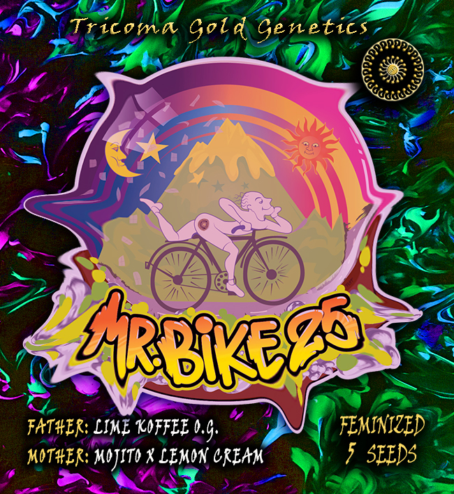 Mr Bike 25 Fem