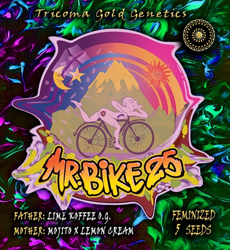 Mr Bike 25 Fem