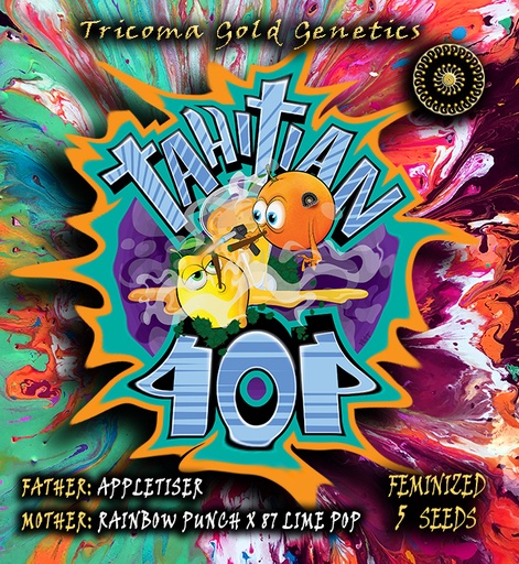 Tahitian Pop Fem