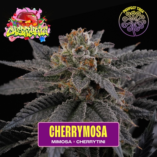 Cherrymosa Fem