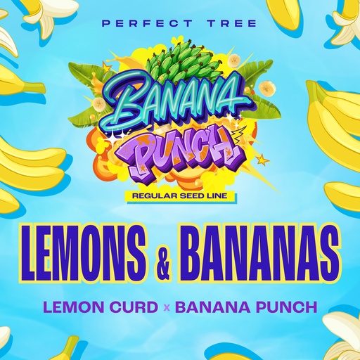 Lemons and bananas Reg