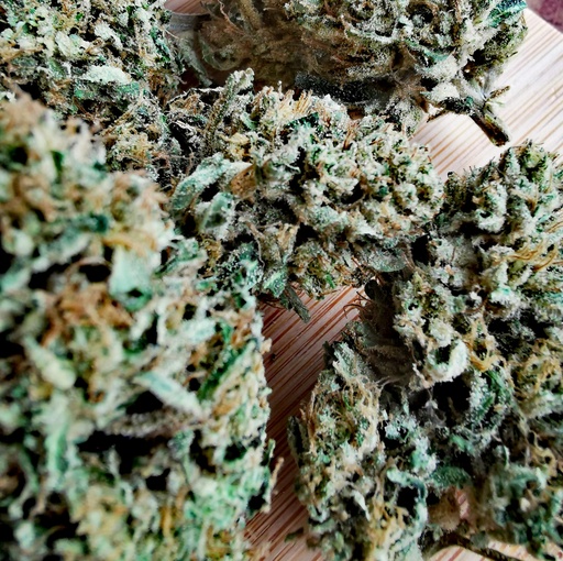 Dark Sapphire (Greenhouse)