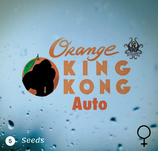 Orange King Kong