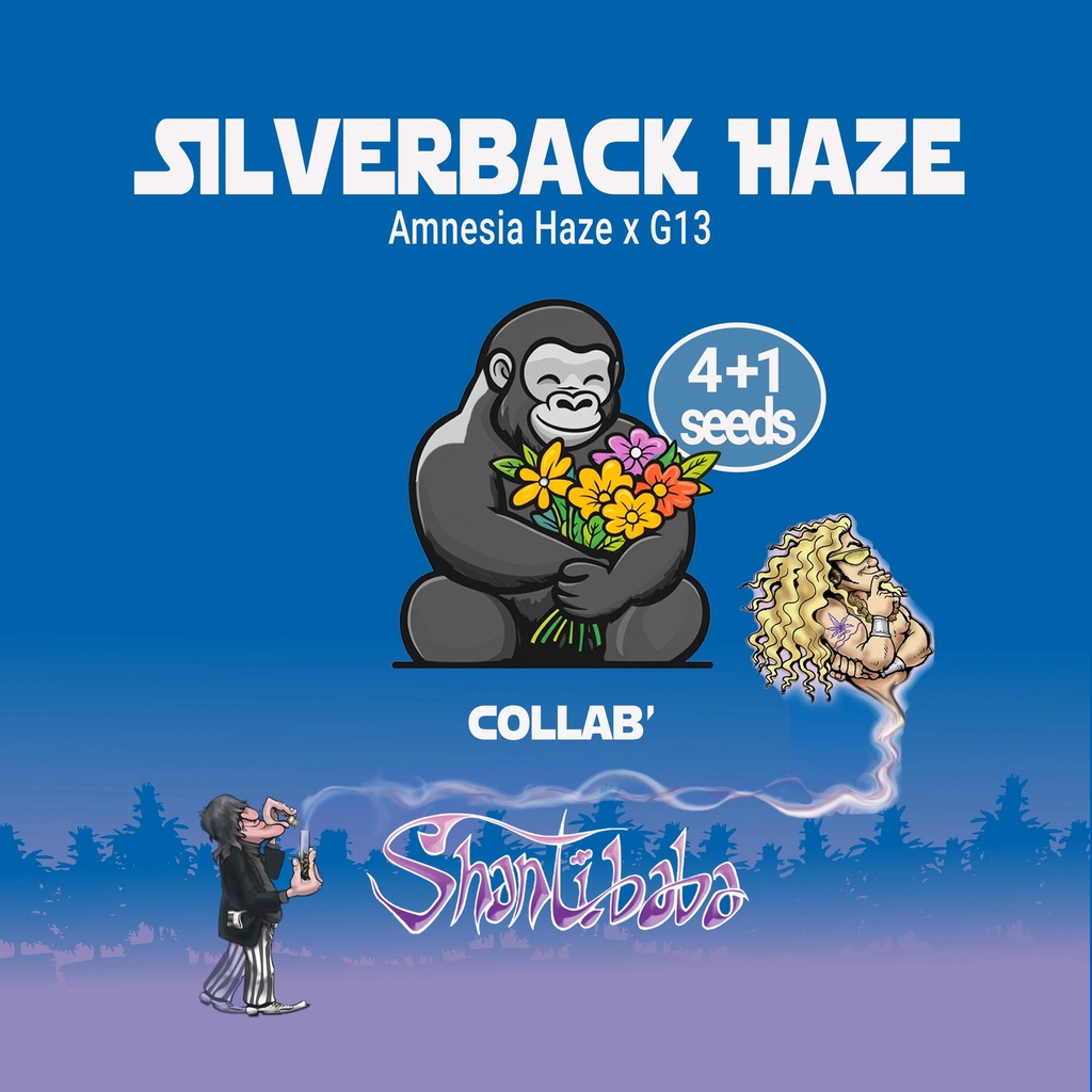 Silverback Haze Fem