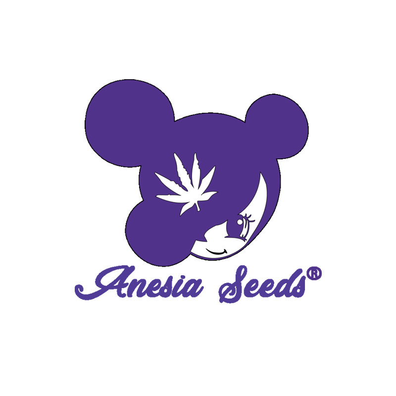 Purple Thai Fem