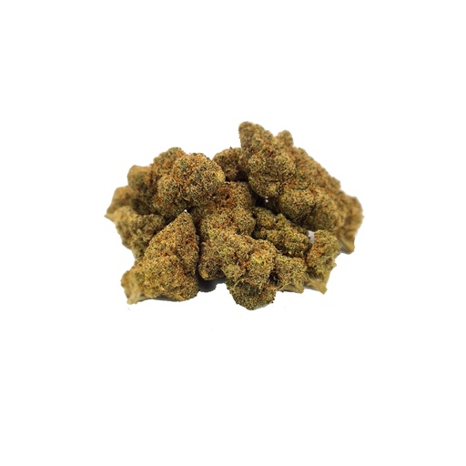 Zushy (Indoor)