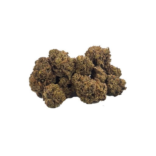 ExotiK CBN (Indoor)