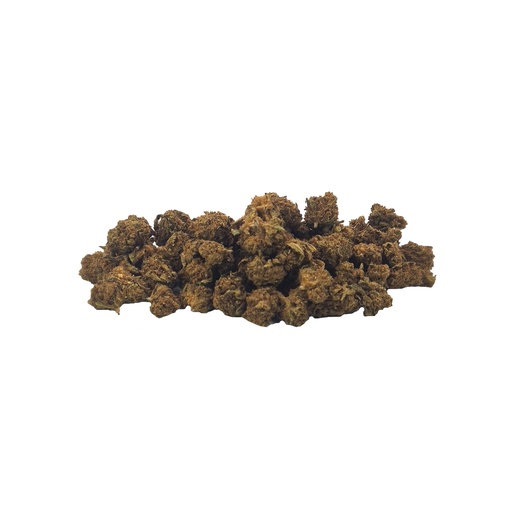 Plutonium Small Bud