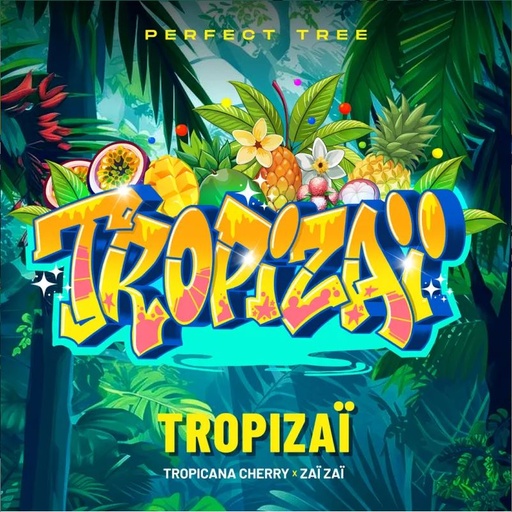 Tropizaï Reg