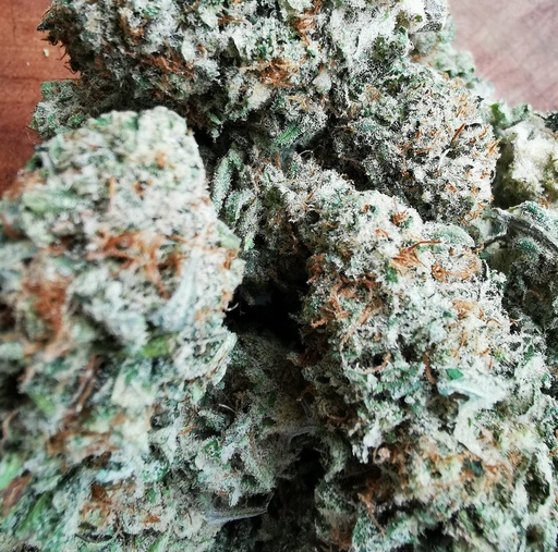 Sweet Paradis (indoor)  