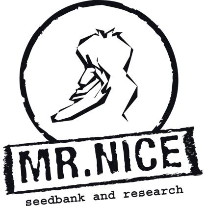 Neville's Haze x Mango Reg