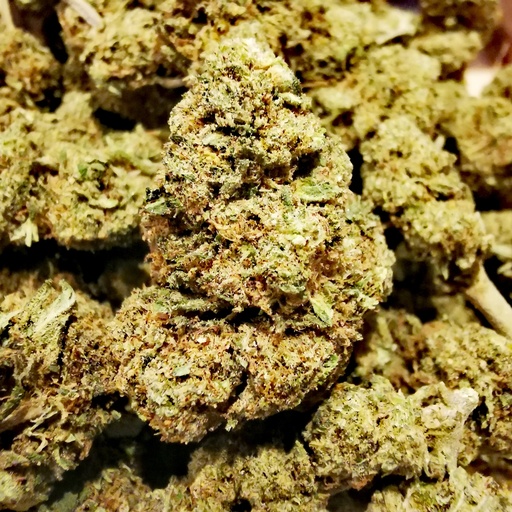 White Widow (Indoor) 