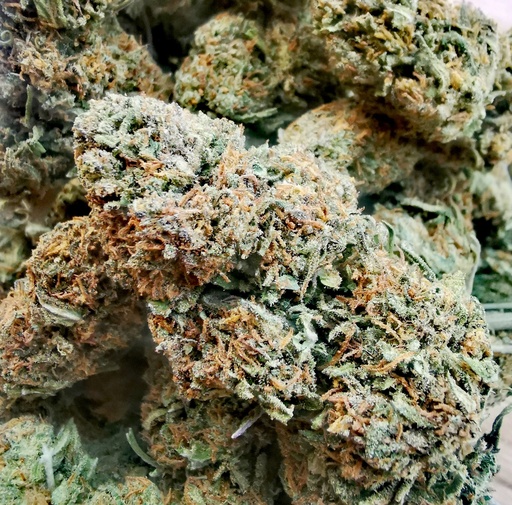 Melon Bowl (Greenhouse)  